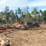 Sinergi Tanpa Lelah, Alat Berat BNPB dan Yonzipur 5/ABW Bersihkan Sisa Banjir di Langkahan