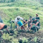 Berkebun dan Panen Bersama,  Pos Parim Satgas Yonif 751/VJS Edukasi Dapur Hidup di Kakopom